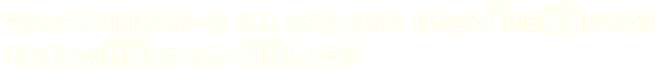 マシンタイプにはスポーツ、エコ、セダン、ワゴン、はたらく車の５種類がある!!それぞれの特徴をさっそく紹介しよう!!