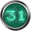 31
