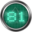 81
